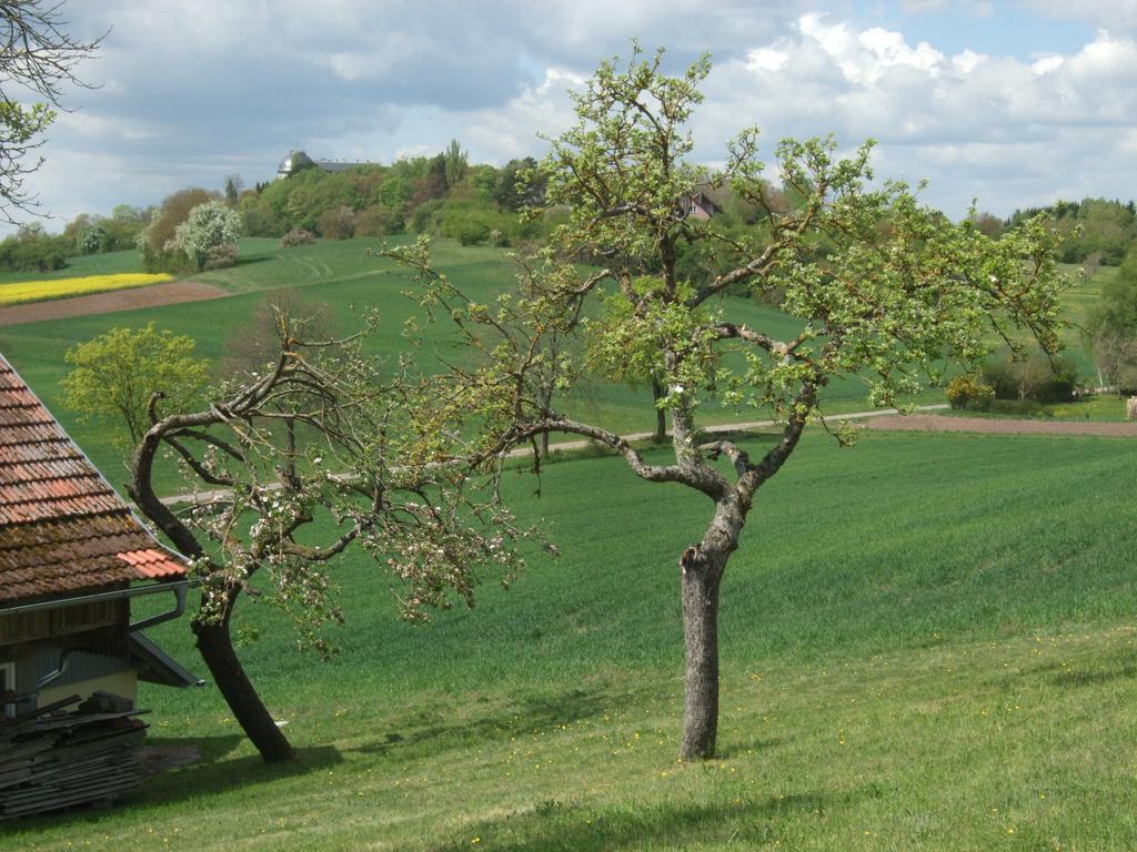 Ferienwohnung Bockelt Stadtlauringen 外观 照片