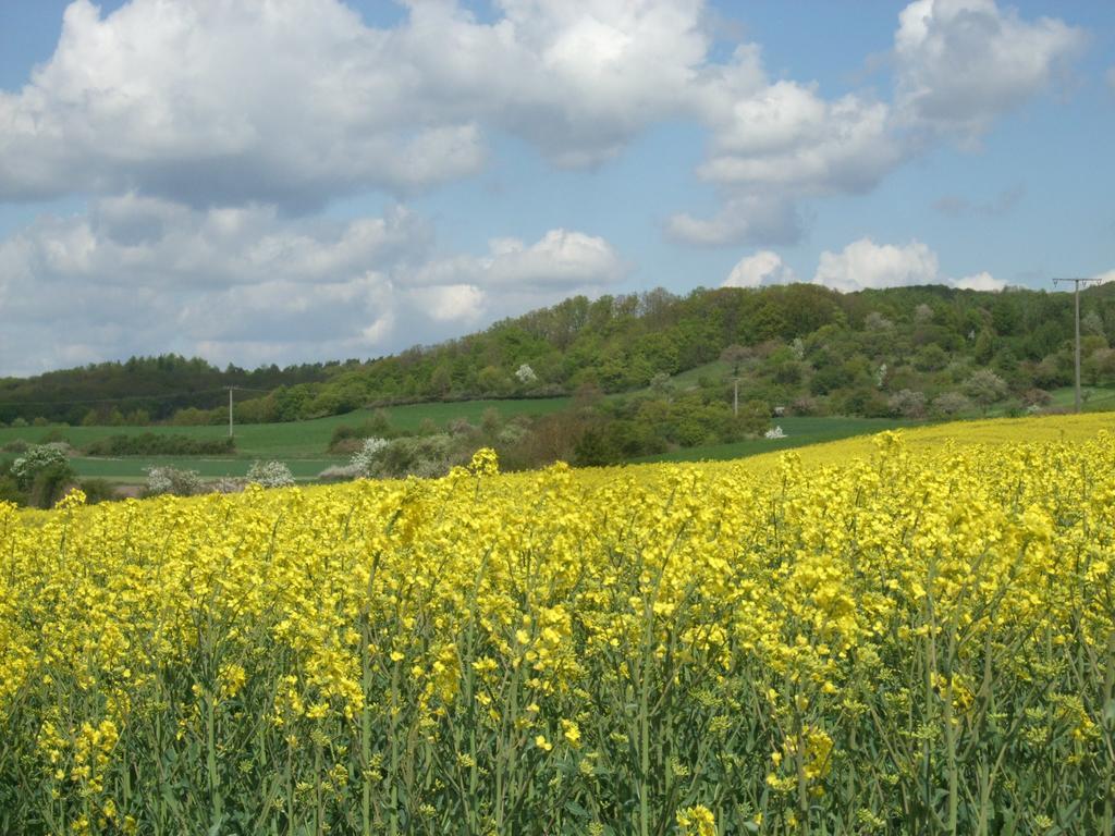 Ferienwohnung Bockelt Stadtlauringen 外观 照片