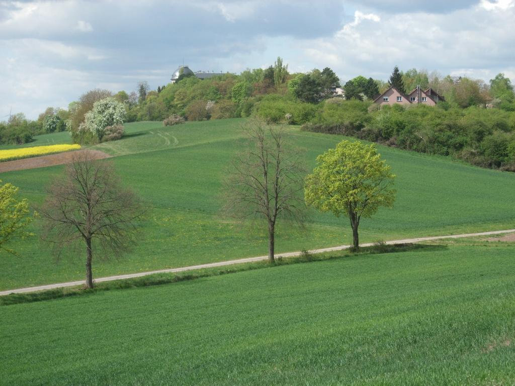 Ferienwohnung Bockelt Stadtlauringen 外观 照片