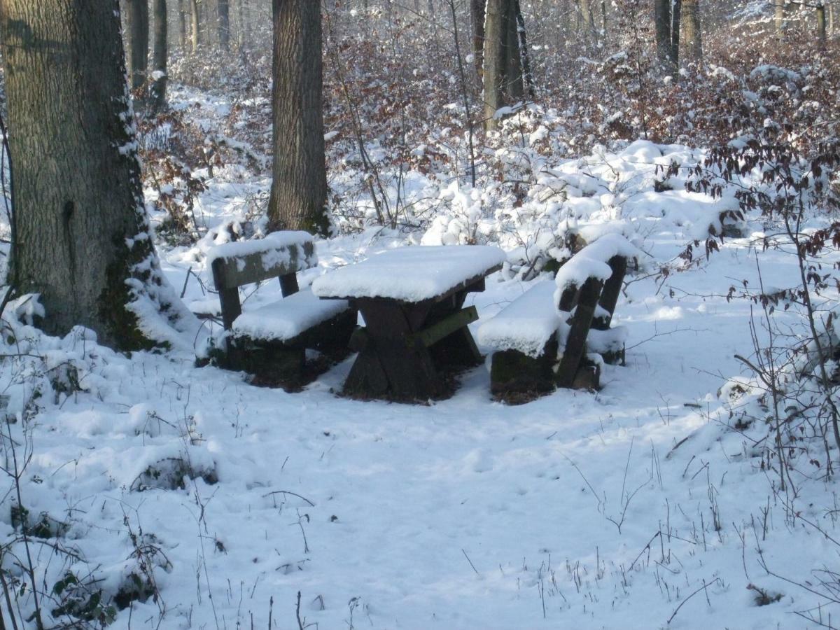 Ferienwohnung Bockelt Stadtlauringen 外观 照片